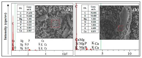 Fractionation of Heavy Metals in Multi-Contaminated Soil Treated with ...