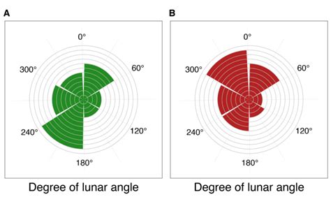 Circular Histogram 的图像结果