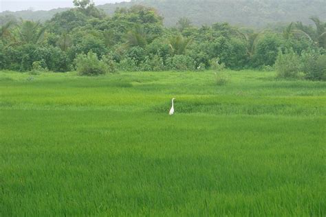 2026 Rural Experiences beautiful Ganpatipule 3N and 4D (Ratnagiri ...