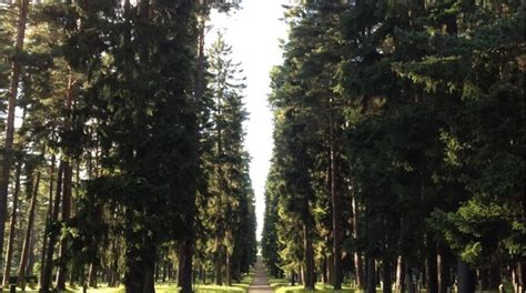 Image result for Sweden Enskede Zip Code