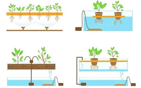 Image result for Hydroponic System Designs