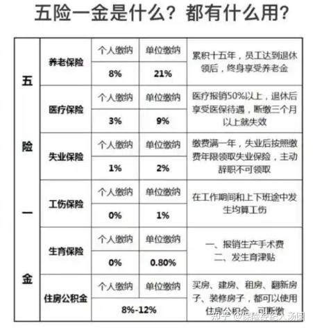 东莞社保大变！五险变四险，2019年断缴一次，将不能享受这些待遇！_缴费