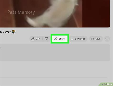 Image result for Embed Code From YouTube