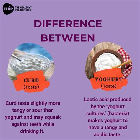 Yoghurt and curd: How they make a difference to me?- THIP Media