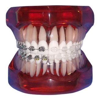 Latest News & Updates in Dentistry: Baby teeth, Teeth crowns, Oral ...