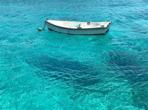 Following The Blue - Kissamos | Tripadvisor