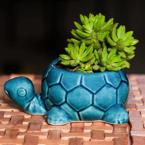 Lasaki Tortoise Small Crackle Effect Ceramic Indoor pots for Plants and ...