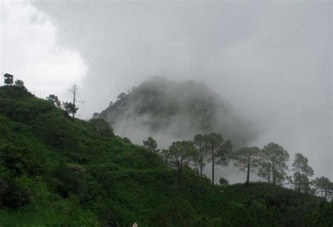 Kasauli Hill Station 3 Nights 4 Days Holiday Tour Package | Flamingo ...