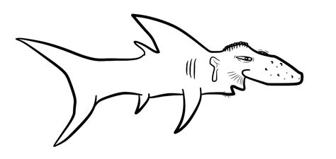 Shark Evolution Script 的图像结果