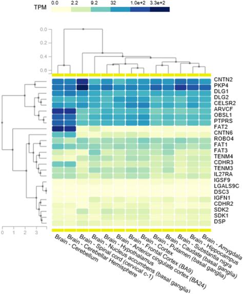 Image result for Gene Expression Map