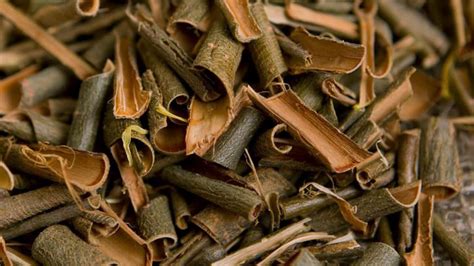 INCI GUIDE | Dive Deep Into Skin Science – Mayskin