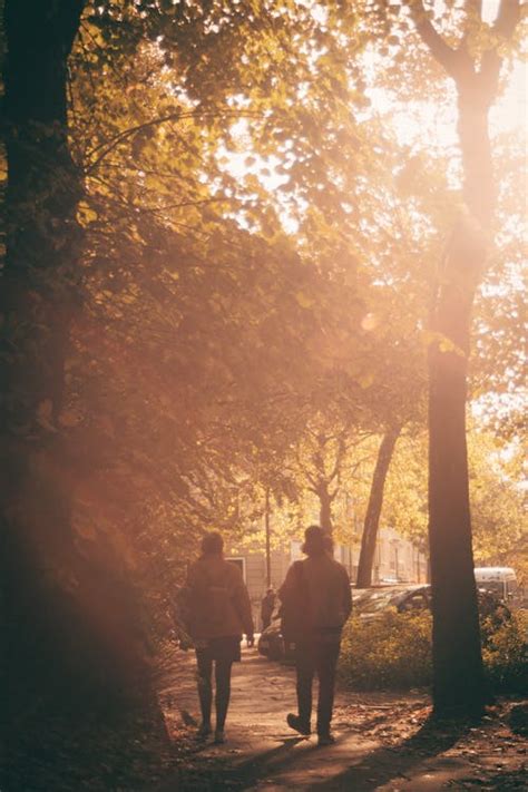 Par of People Walking 的图像结果