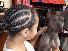 Hairstyles For Adults by Different Kinds Of Curls Protective Hairstyle For Hairstyles For Adults
