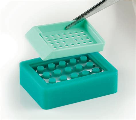 Tissue Microarray Mold 的图像结果