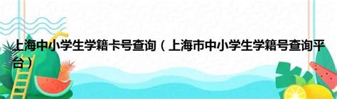 智睿中小学生学籍信息管理系统源码 - 开发实例、源码下载 - 好例子网