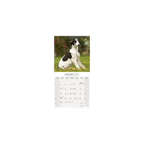 Buy Borzoi Calendar - Dog Breed Calendars - 2020 - 2021 wall calendars ...