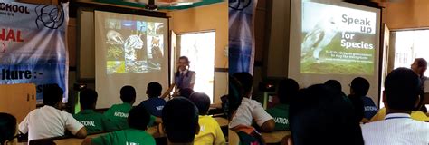 NES SVB Group - MILESTONES