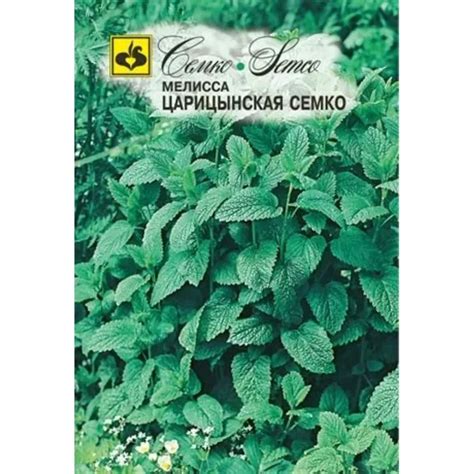 Семена Мелисса Царицынская Семко: описание сорта, фото - купить с ...