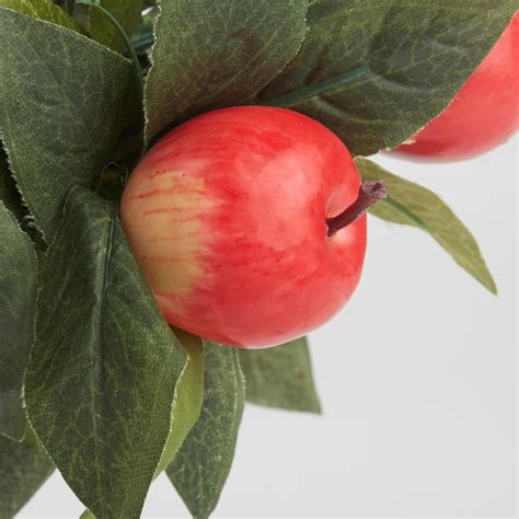 Buy Gloria Artificial Apple Tree in Ceramic Pot from Home Centre at ...