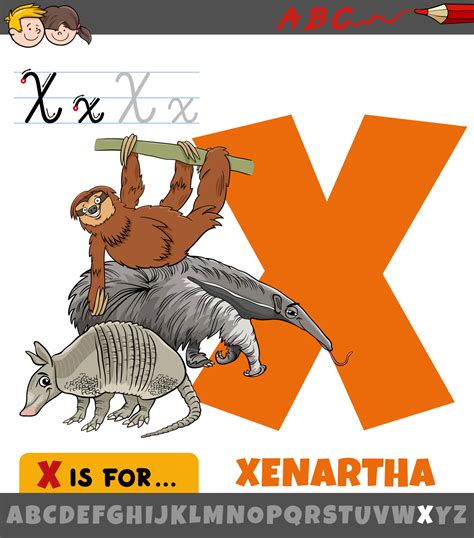 Animal That Starts With The Letter X