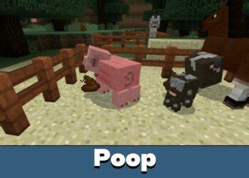 Image result for Poop Armor Minecraft Mod