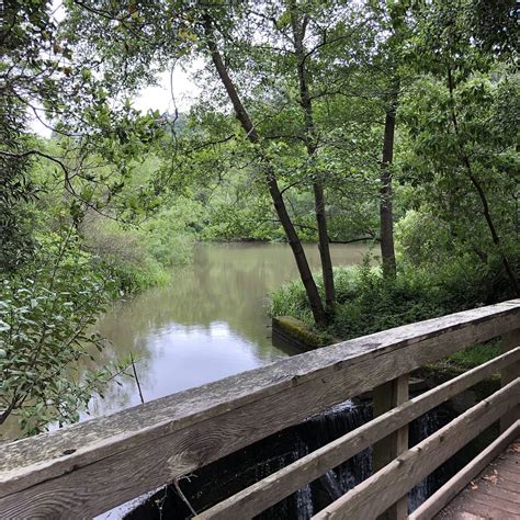 Tilden Park Little Farm (2026) - All You Need to Know BEFORE You Go ...