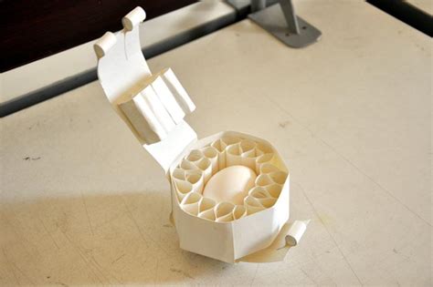 D'source Egg Packaging | Assignment | D'Source Digital Online Learning ...