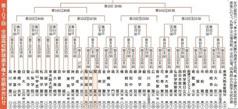 Image result for Multi-Label Classification Images Example Image