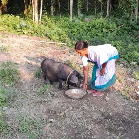 Field Notes from Baksa: How Rural Women Are Quietly Building ...