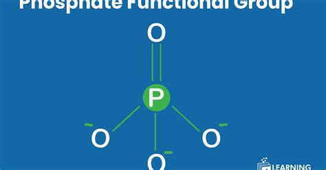 Image result for Phosphate Group Structure