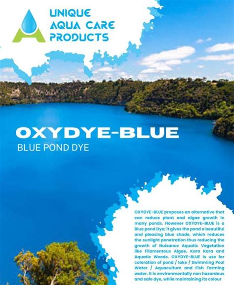 Pond Algae Control 的图像结果