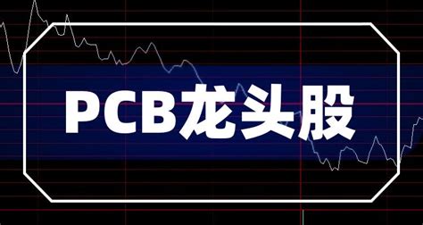 PCB龙头企业名单(PCB龙头股前五) - 南方财富网