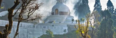 Book Flights from Pune starting INR 3,707 in 2025 | Air India