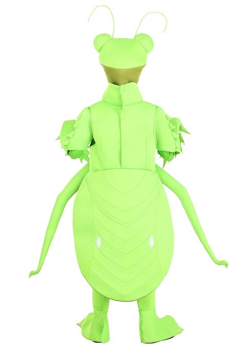 Praying Mantis Costume for Kids | Bug Costumes