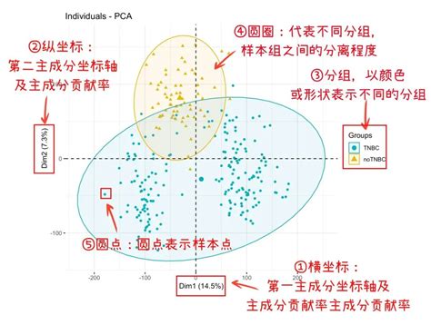 PCA Python Tutorial に対する画像結果