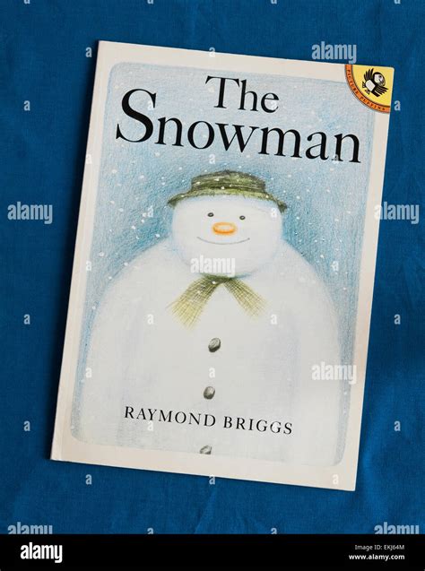 The Snowman - a wordless picture story book - created and illustrated ...