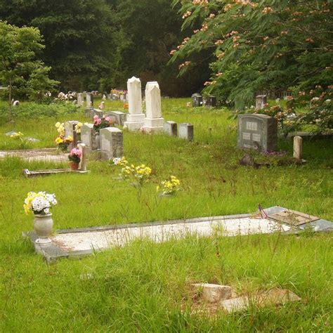 Turtle Skin Cemetery, Nicholson - Tripadvisor