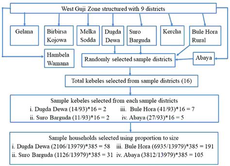 Image result for Sampling Drawing Procedure and Sampling Procedure