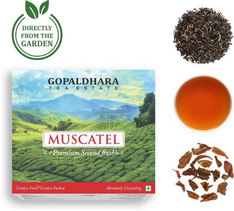 GOPALDHARA Darjeeling Premium Second Flush - Muscatel Black Tea ...