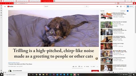 Image result for How to Unpause Internet