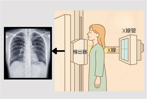 Image result for User Module Sample