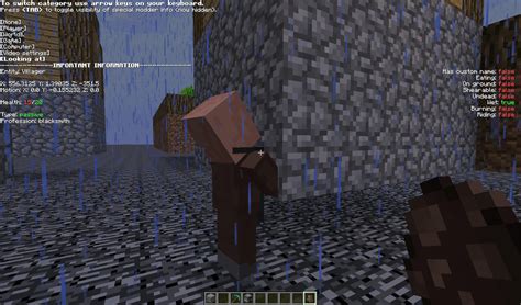 Image result for How to Get to Minecraft Debug Screen Windows PC