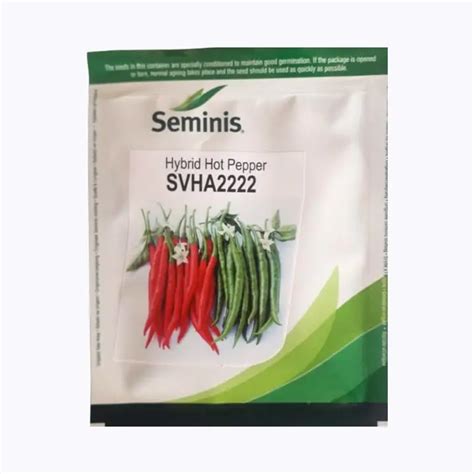 Buy Seminis SVHA2222 Chilli Seeds – High Pungency & Quality Yield ...