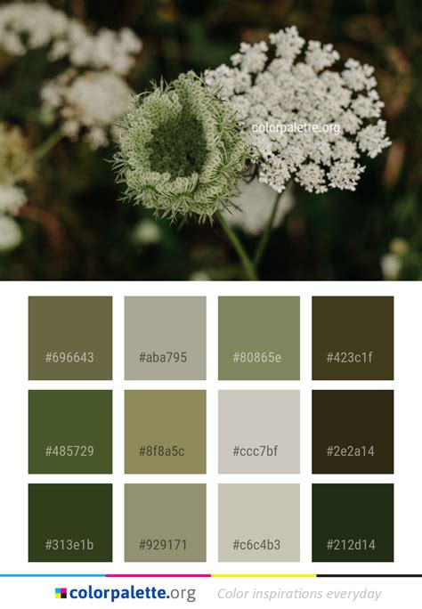 FlowerColor 的图像结果