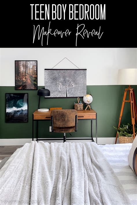 Modern Bedroom For Teenage Boys