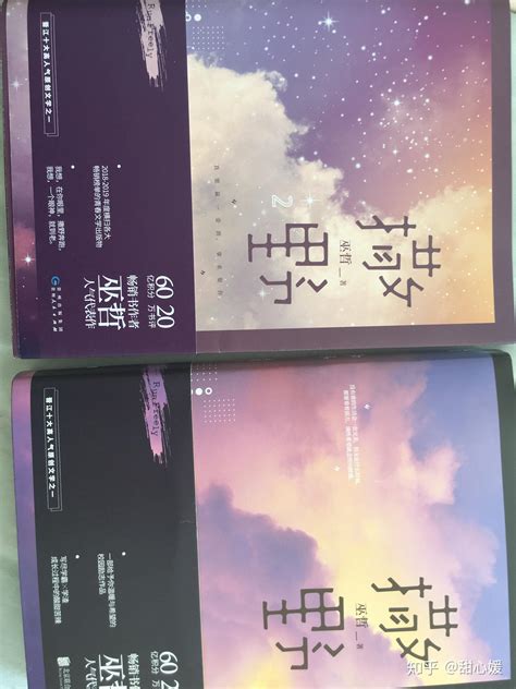 撒野 - 免费公版电子书下载（txt+epub+mobi+pdf+iPad+Kindle）笔趣阁、爱好中文网