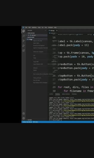 Musique Python 的图像结果