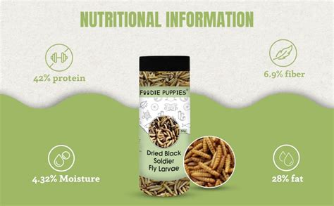 Foodie Puppies Dried Black Soldier Fly Larvae 50gm (Pack of 1) - Fish ...