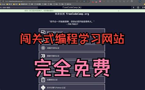 freeCodeCamp Tutorial 的图像结果