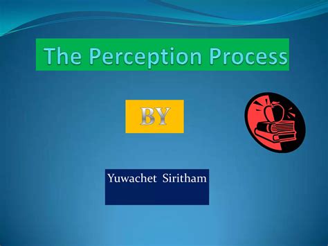 Perception Process Steps Image 的图像结果